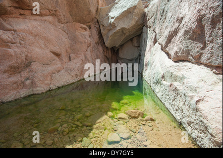 Süßwasser-Pool unter Dachüberstand im einsamen Berg canyon Stockfoto