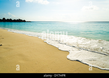 tropischer Strand mit türkisblauem Wasser Stockfoto