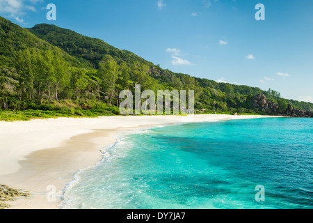 tropischer Strand mit türkisblauem Wasser Stockfoto
