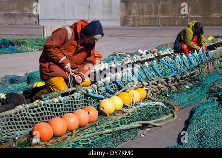 Schottische Nordseefischer reparieren Netze in Peterhead, Schottland, April 2014. Immigranten sind zu einem Stützpfeiler der schottischen Landwirtschaft und Fischerei geworden. Wanderarbeiter aus Osteuropa suchen Beschäftigung und einen Neuanfang und sind bereit, Arbeitsplätze zu schaffen, die die Menschen vor Ort nicht tun, um Boote zu besetzen und in Fischfabriken zu arbeiten. John Cox, Vorsitzender der Scottish Seafood Association, sagte: „Ohne die ethnischen Arbeiter hätten wir ein großes Kapazitätsproblem bei der Verarbeitung aller Fische, die angelandet werden. Das Problem im Nordosten ist, dass die Öl- und Energiebeschäftigung alle verfügbaren lokalen Arbeitskräfte anzieht. Stockfoto