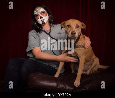 Tag der toten Tierarzt mit Stethoskop fürsorglich für großen Hund Stockfoto