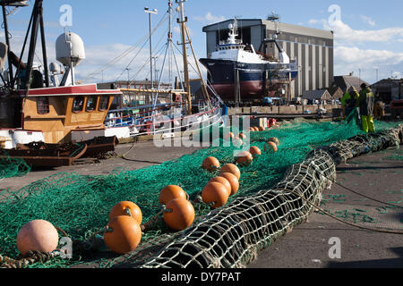 Schottische Nordseefischer reparieren Netze in Peterhead, Schottland, April 2014. Immigranten sind zu einem Stützpfeiler der schottischen Landwirtschaft und Fischerei geworden. Wanderarbeiter aus Osteuropa suchen Beschäftigung und einen Neuanfang und sind bereit, Arbeitsplätze zu schaffen, die die Menschen vor Ort nicht tun, um Boote zu besetzen und in Fischfabriken zu arbeiten. John Cox, Vorsitzender der Scottish Seafood Association, sagte: „Ohne die ethnischen Arbeiter hätten wir ein großes Kapazitätsproblem bei der Verarbeitung aller Fische, die angelandet werden. Das Problem im Nordosten ist, dass die Öl- und Energiebeschäftigung alle verfügbaren lokalen Arbeitskräfte anzieht. Stockfoto