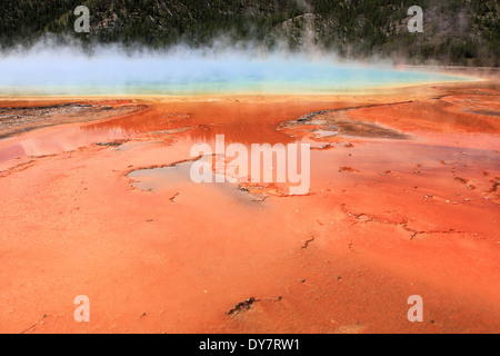 Grand prismatische Frühling, Yellowstone-Nationalpark, Wyoming, USA Stockfoto