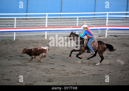 Abseilen, Cody Nite Rodeo, Cody, Wyoming, USA Stockfoto