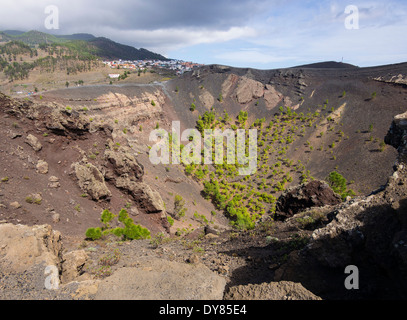 Kiefern wachsen in den Krater des Vulkans San Antonio in der Nähe der Stadt Los Canarios auf der Kanareninsel La Palma. Stockfoto