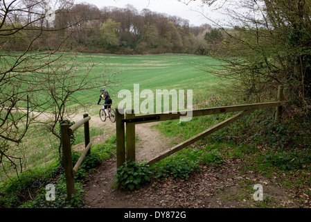 Mantel des Holzes, in der Nähe von Hyde Heide in Buckinghamshire.  Trainieren Sie auf den vorgeschlagenen HS2 Route durch die Chilterns. Stockfoto