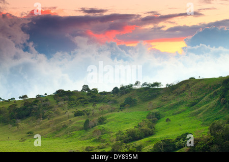 Grüne Weidefelder in der Abenddämmerung, in der Nähe des Dorfes Volcan in der Provinz Chiriqui, Republik Panama, Mittelamerika. Stockfoto