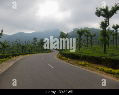 Kurvenreiche Straße durch Teeplantage (Pollachi in Valparai) Stockfoto