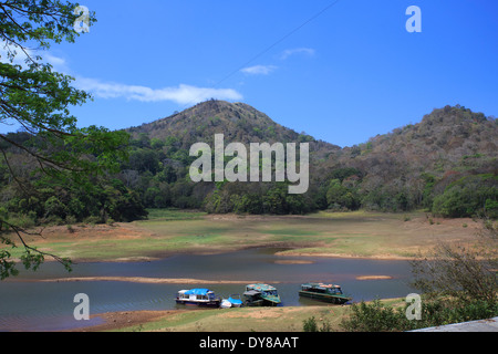 Schöne Periyar See - Kerala (Indien) Stockfoto