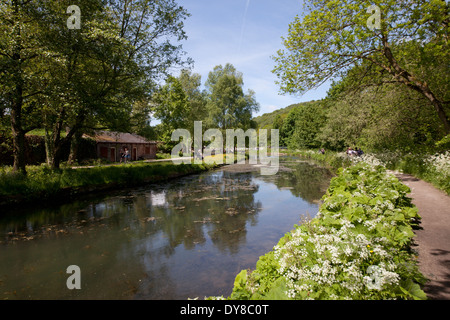 Cromford-Kanal, in der Nähe von Matlock, Derbyshire, uk Stockfoto