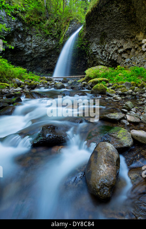 Oberen Oneonta fällt im Frühjahr in der Columbia River Gorge, Oregon. USA Stockfoto