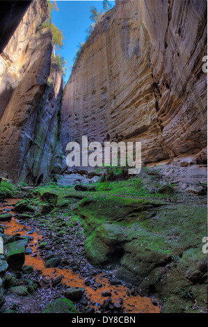 Australien, Carnarvon, Nationalpark, Klippe, Fels, Schlucht, Queensland, Gulch, Bach Stockfoto