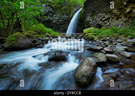 Oberen Oneonta fällt im Frühjahr in der Columbia River Gorge, Oregon. USA Stockfoto