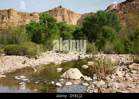 USA, Arizona, Apache Trail, Tonto National Forest, Fish Creek. Stockfoto