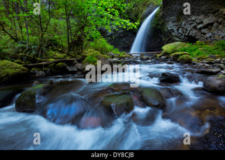 Oberen Oneonta fällt im Frühjahr in der Columbia River Gorge, Oregon. USA Stockfoto