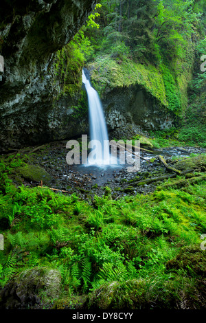 Oberen Oneonta fällt im Frühjahr in der Columbia River Gorge, Oregon. USA Stockfoto