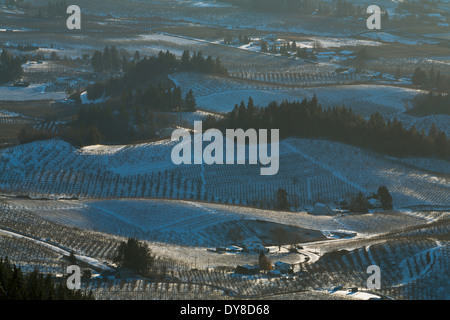 Der Schnee entlang der Obstplantagen der Hood River Valley of Oregon. USA Stockfoto