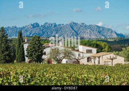 Gebäude in ausgedehnten Weinbergen in der qualifizierten Weinregion Penedes, Spanien Stockfoto