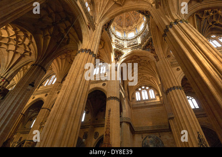 Kathedrale, innen neue Kathedrale, Salamanca, Via De La Plata, Silber Route, Kastilien-León, Spanien Stockfoto