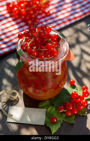 Rote Johannisbeere Marmelade in ein Glas Stockfoto