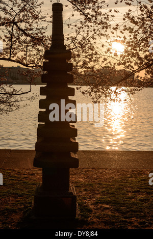 WASHINGTON DC, Vereinigte Staaten – das goldene Sonnenlicht am frühen Morgen erleuchtet die japanische Pagode am Tidal Basin. Diese historische Steinlaterne, ein Geschenk aus Japan, ist in warmes Licht getaucht und schafft eine ruhige und malerische Szene, die den kulturellen Austausch zwischen den Vereinigten Staaten und Japan unterstreicht. Stockfoto