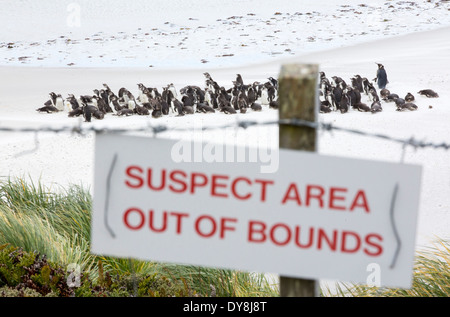 Ein Warnsignal über das Vorhandensein von argentinischen Minen auf den Falklandinseln, noch aus den 1980er Jahren Falkland-Konflikt Stockfoto