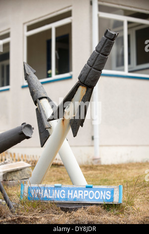 Ein Gutsbesitzer in Port Stanley auf den Falklandinseln, ein Walmuseum mit einem Anti Walfang geschaffen hat, schräg. Stockfoto