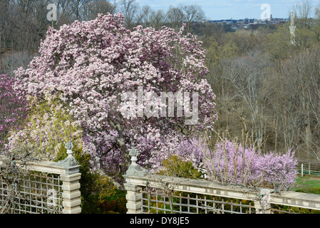 Dumbarton Oaks Gardens Landscape Washington DC / WASHINGTON DC, Vereinigte Staaten – Eine Gartenterrasse in Dumbarton Oaks, dem historischen Anwesen in Georgetown an der 1703 32nd Street NW, erstreckt sich über eine der vielen absteigenden Ebenen des Gartens. Die Landschaftsarchitektin Beatrix Farrand – die einzige Frau unter den elf Gründungsmitgliedern der American Society of Landscape Architects – begann hier 1921 in enger Zusammenarbeit mit dem Eigentümer Mildred Barnes Bliss, der mehr als dreißig Jahre daran beteiligt war. Farrand entwarf das Gelände als eine Reihe von „Räumen“ im Freien, die von formellen Terrassen in der Nähe von Th abstiegen Stockfoto