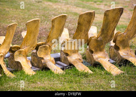 Ein Gutsbesitzer in Port Stanley auf den Falklandinseln, ein Walmuseum mit einem Anti Walfang geschaffen hat, schräg. Stockfoto