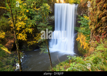 USA, Oregon, Silver Falls State Park, Lower South Falls, 93 Fuß Stockfoto