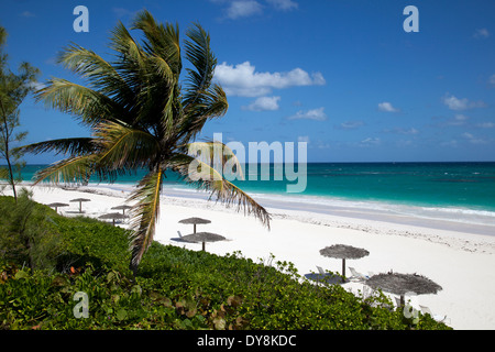 Heiter, Strand-Szene häufig auf Harbour Island Stockfoto