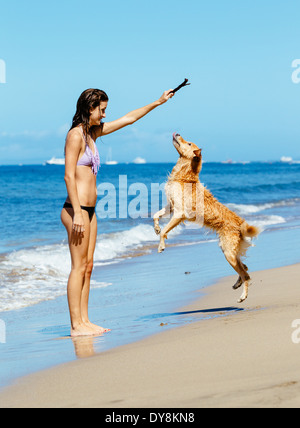 Junge Frau spielt mit ihren entzückenden Golden Retriever am Strand, glücklichen Hund sprang in die Luft. Stockfoto