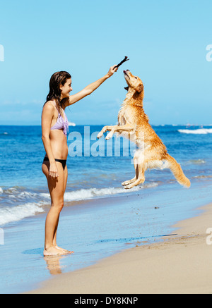 Junge Frau spielt mit ihren entzückenden Golden Retriever am Strand, glücklichen Hund sprang in die Luft. Stockfoto