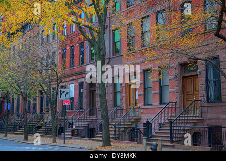 Harlem-Reihenhäuser im Herbst, New York City, New York, USA Stockfoto