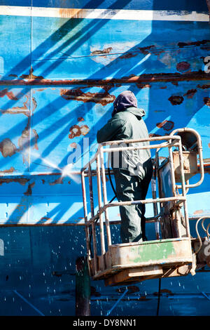 Fraserburgh Harbour, Schottland, UK 8. April 2014. Einwanderer sind eine tragende Säule der Landwirtschaft und Fischerei Schottlands geworden. Arbeitsmigranten aus Osteuropa Beschäftigung und einen Neuanfang zu suchen und bereit sind zu tun Arbeitsplätze Menschen vor Ort nicht zur Besatzung Boote und in Fischfabriken zu arbeiten. Scottish Seafood Association Chief Executive John Cox sagte: "Wir hätten ohne die ethnische Arbeiter eine große Kapazität Problem Verarbeitung alle Fische, die gelandet werden. Das Problem im Nord-Osten ist das Öl und Energie zieht alle lokalen Arbeitskräften.  Bildnachweis: Studio9/Alamy Live-Nachrichten Stockfoto