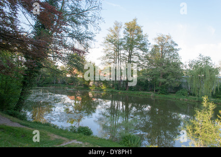 Teich im Garten von Schloss St. Peter in der Au Stockfoto