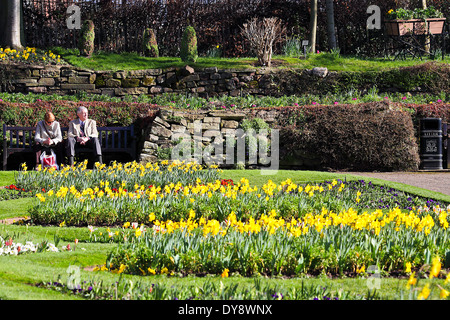 Dauern, bis f oder diese Coupleand entspannen Sie sich in die schöne Blumengestecke innerhalb der Dingle in Shrewsbury im frühen Frühjahr. Stockfoto