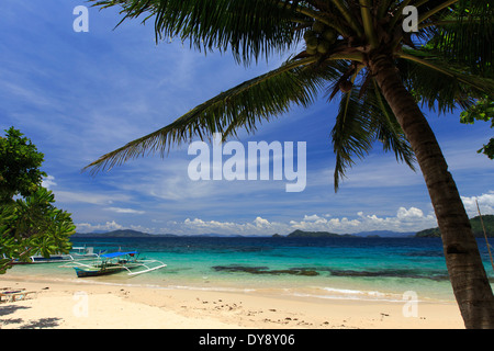 Philippinen, Palawan, Port Barton, Cacnipa Insel Stockfoto