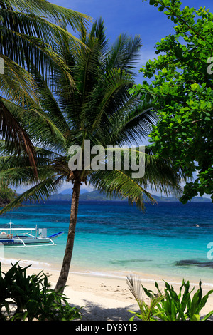 Philippinen, Palawan, Port Barton, Cacnipa Insel Stockfoto