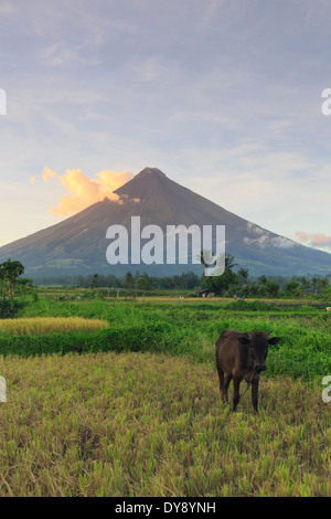 Philippinen, Souteastern Luzon, Bicol, Mayon Vulkan Stockfoto