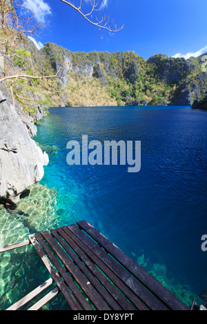 Philippinen, Palawan, Coron Island, Barracuda See Stockfoto