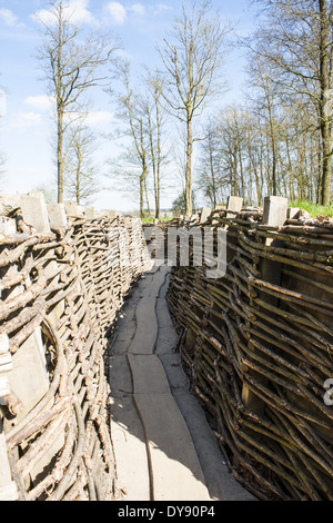 WW1 Graben im Bayernwald Weltkrieg ein Belgien Stockfoto