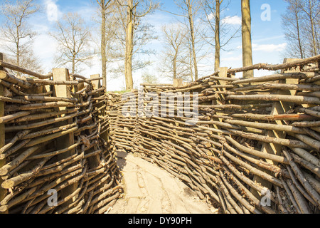 WW1 Graben im Bayernwald Weltkrieg ein Belgien Stockfoto