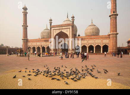 Jama Masjid, Moschee, Alt-Delhi, Delhi, Meisterwerk, Mogul Architektur, Asien, Kirche, Religion, Türme, Ort, Tauben Stockfoto