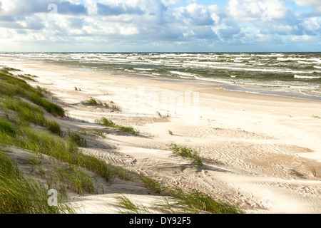 White Sand Beach. Blick auf die Ostsee Küste. Kurische Nehrung, Nida Neringa, Litauen Stockfoto