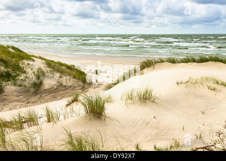 Dünen an der Ostsee-Küste in Nida. Litauen Stockfoto