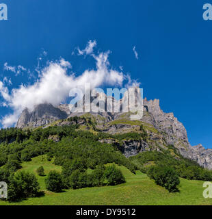 Grobe steile Bergen Trubelstock Schwarzhorn Landschaftsbäume Feld Wiese Sommer Berge Hügeln Leukerbad Wallis Valais S Stockfoto