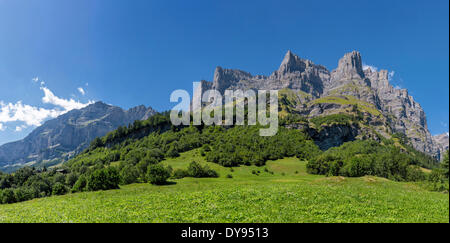 Grobe steile Bergen Trubelstock Schwarzhorn Landschaftsbäume Feld Wiese Sommer Berge Hügeln Leukerbad Wallis Valais S Stockfoto