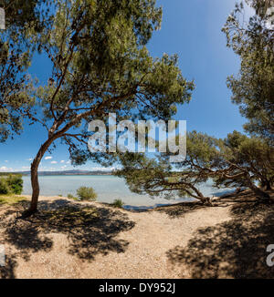 Ile du Petit Gaou, mediterran, Landschaft, Wasser, Frühling, Strand, Meer, Six Fours Les Plages, Var, Frankreich, Europa Stockfoto