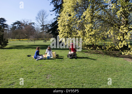 Zwei junge Mütter reden in einem Picknick Stockfoto